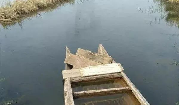 姜在水产养殖中大有好处,应该如何用来预防鱼虾疾病 姜在水产养殖中大有好处,应该如何用来预防鱼虾疾病