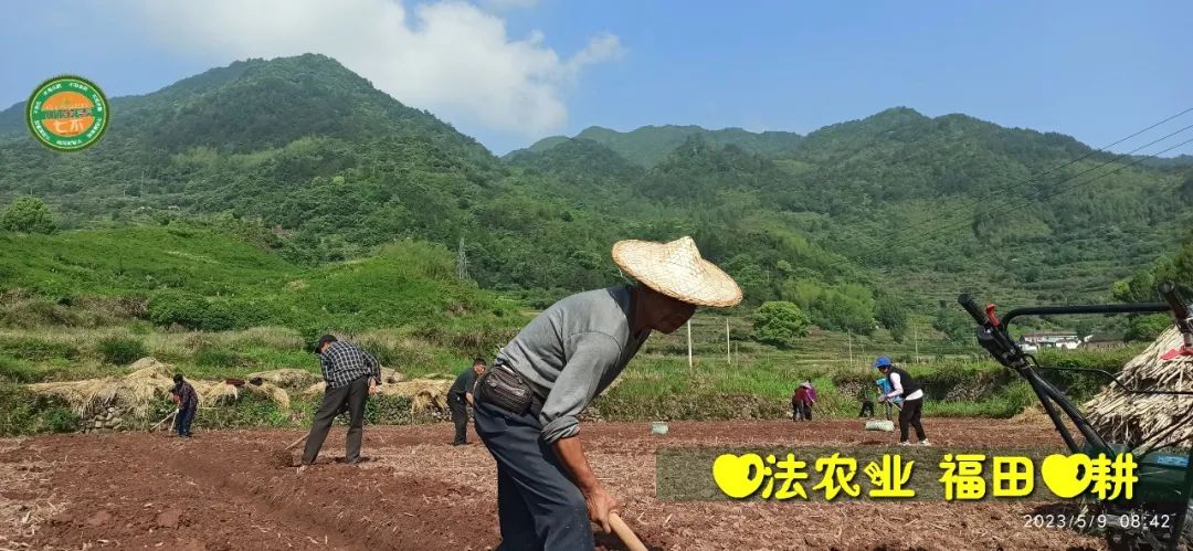 2023年4月-5月 七不姜春播图!家庭厨房生姜如何去皮切片 七不姜5月促销优惠劵 2023年4月-5月 七不姜春播图!家庭厨房生姜如何去皮切片 七不姜5月促销优惠劵