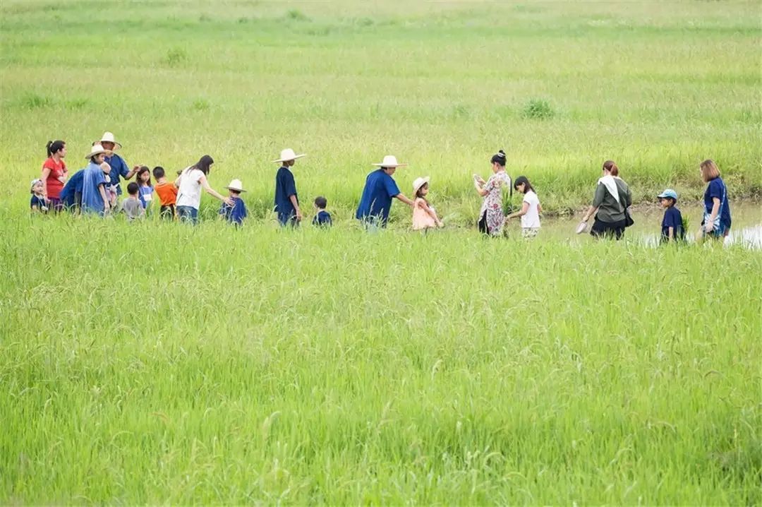 清迈 | 这家开业不久的亲子农庄,太让人动心。 清迈 | 这家开业不久的亲子农庄,太让人动心。