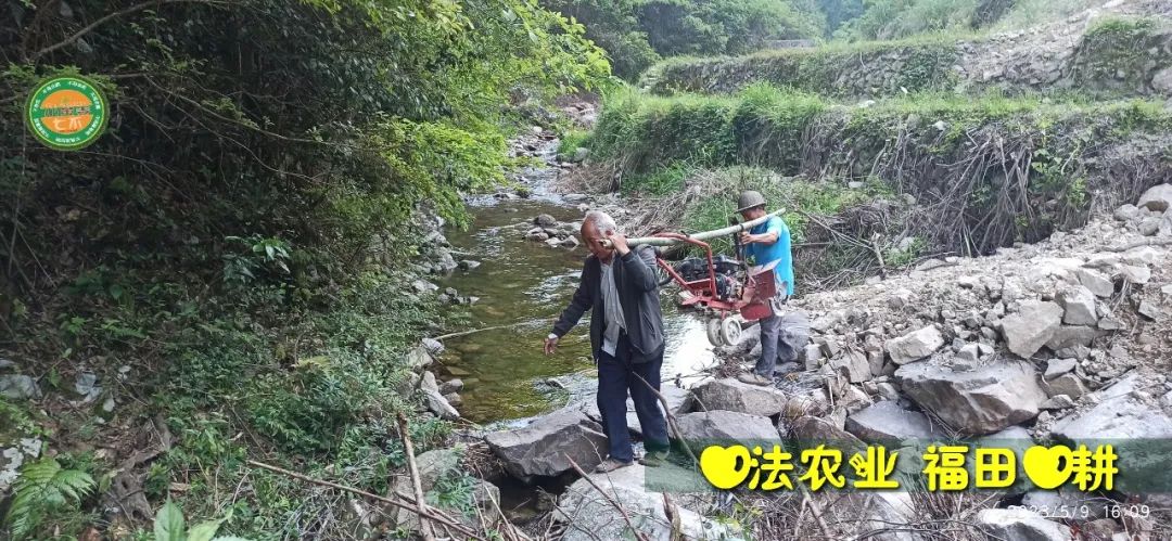 2023年4月-5月 七不姜春播图!家庭厨房生姜如何去皮切片 七不姜5月促销优惠劵 2023年4月-5月 七不姜春播图!家庭厨房生姜如何去皮切片 七不姜5月促销优惠劵