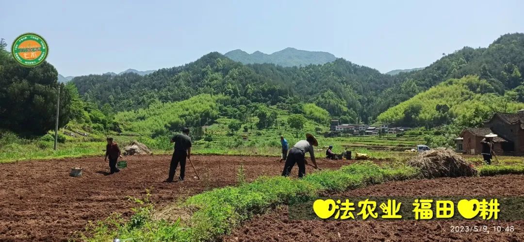 2023年4月-5月 七不姜春播图!家庭厨房生姜如何去皮切片 七不姜5月促销优惠劵 2023年4月-5月 七不姜春播图!家庭厨房生姜如何去皮切片 七不姜5月促销优惠劵