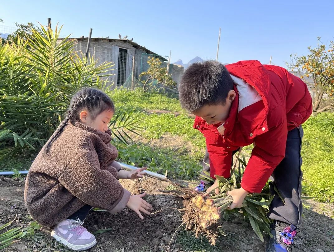 嗨，一起来“姜”快乐进行到底！
