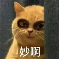 生姜花椒煮汤圆,俄罗斯人煮的汤圆太硬核了!!! 生姜花椒煮汤圆,俄罗斯人煮的汤圆太硬核了!!!