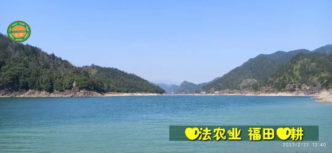 2023年4月-5月 七不姜春播图!家庭厨房生姜如何去皮切片 七不姜5月促销优惠劵 2023年4月-5月 七不姜春播图!家庭厨房生姜如何去皮切片 七不姜5月促销优惠劵