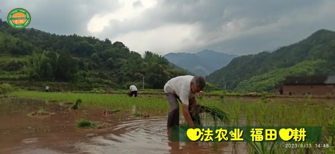 (●'◡'●)6月庆祝春播春种顺利完成! 姜膏姜油 端午糯米 会员积分换购特惠 ,2023预售大米 会员折上折 6.18折 (●'◡'●)6月庆祝春播春种顺利完成! 姜膏姜油 端午糯米 会员积分换购特惠 ,2023预售大米 会员折上折 6.18折