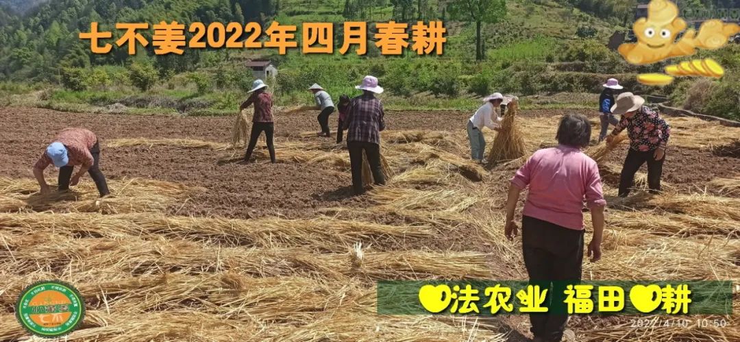七不姜2022年四月春耕图 七不姜2022年四月春耕图