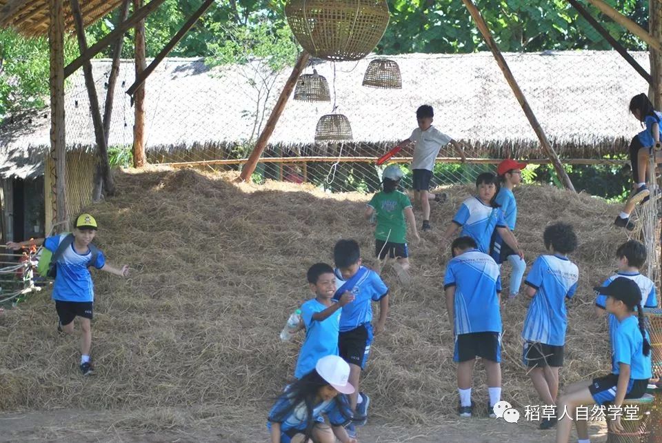 探访清迈Ginger Farm(2018.7.7) 探访清迈Ginger Farm(2018.7.7)