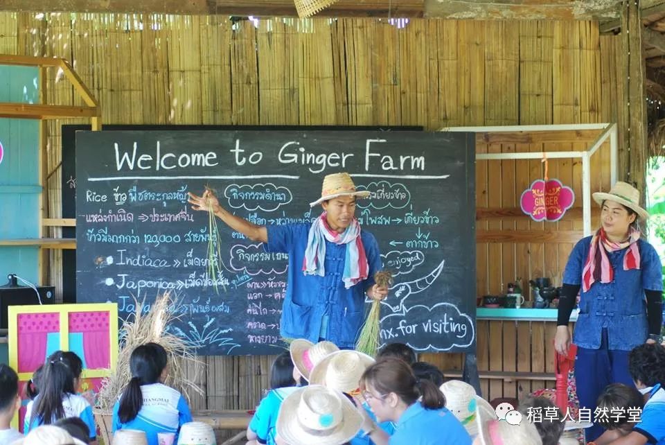 探访清迈Ginger Farm(2018.7.7) 探访清迈Ginger Farm(2018.7.7)