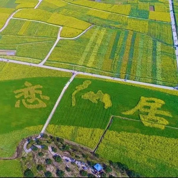新品积分可兑换世界名品。还有乡土特产 人间仙居 的 菜籽油 茶油 黄豆 黑豆 笋干 地瓜粉 野蜂蜜...-七不姜 生姜养生网-明德CSA生态姜园&明安农业