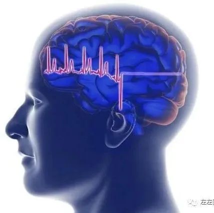 微问答20期：患有多年癫痫，发作起来很痛苦，请问还有什么好的办法？-七不姜 生姜养生网-明德CSA生态姜园&明安农业