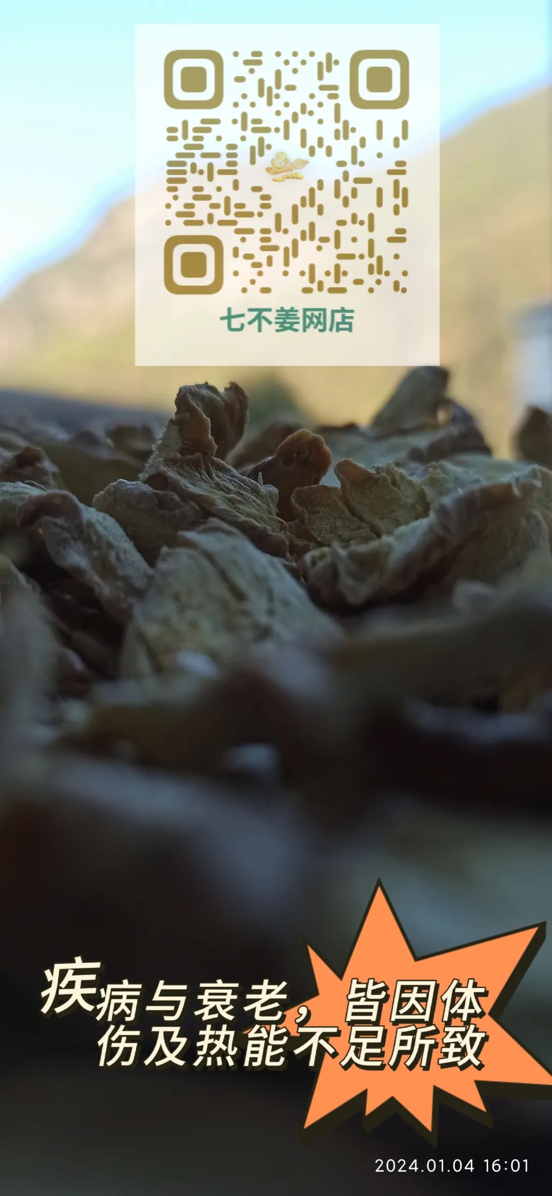 2024年新春福袋 七不姜全家福 礼装 龙重登场´◡` ꒰^ↀωↀ^꒱ 2024年新春福袋 七不姜全家福 礼装 龙重登场´◡` ꒰^ↀωↀ^꒱