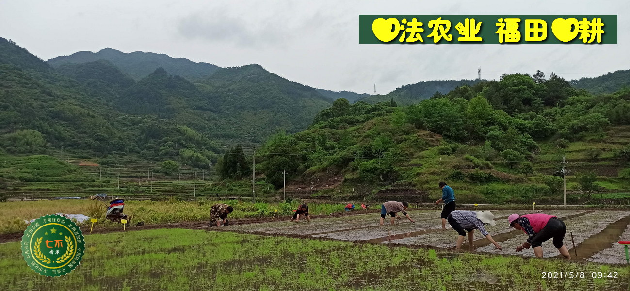 宫颈癌前病变案例 周红艳48岁 2020年5月开始每天喷两次姜粉,四个月后检查正常!-七不姜 生姜养生网-明德CSA生态姜园&明安农业