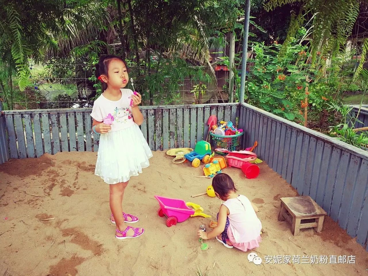 【清迈】GINGER FARM里的泰国农家乐,可以举办生日趴体,10月份假期日托班信息在贴底 【清迈】GINGER FARM里的泰国农家乐,可以举办生日趴体,10月份假期日托班信息在贴底