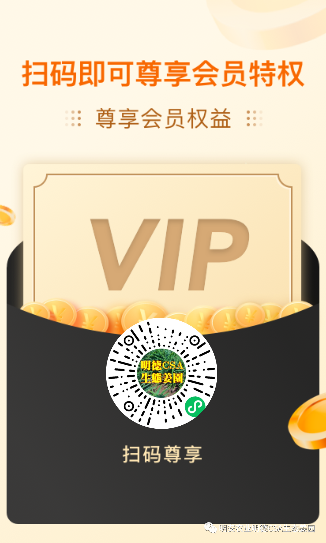 七不姜三八节&315感恩回馈! 三个优惠 !抽奖 再送世界名品欧洲邮票表时尚时装表STAMPS 派克笔 777 七不姜三八节&315感恩回馈! 三个优惠 !抽奖 再送世界名品欧洲邮票表时尚时装表STAMPS 派克笔 777