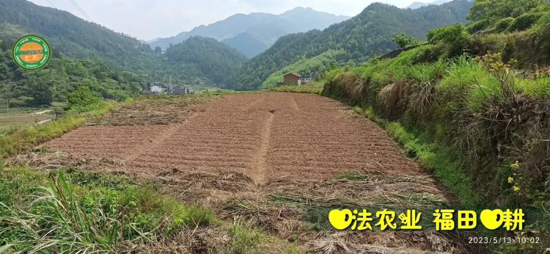 2023年4月-5月 七不姜春播图!家庭厨房生姜如何去皮切片 七不姜5月促销优惠劵 2023年4月-5月 七不姜春播图!家庭厨房生姜如何去皮切片 七不姜5月促销优惠劵