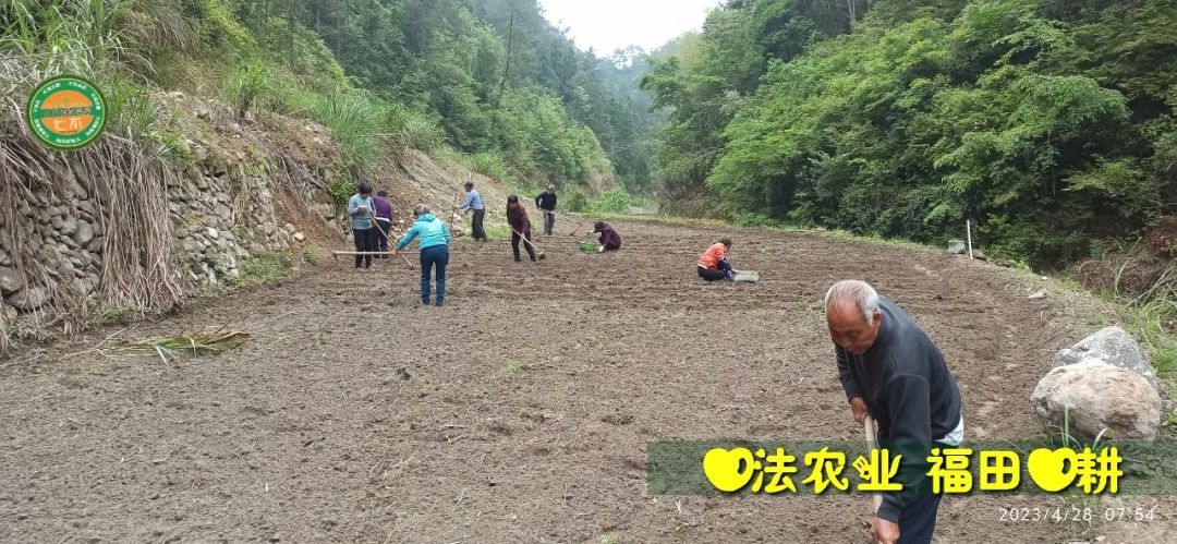 2023年4月-5月 七不姜春播图!家庭厨房生姜如何去皮切片 七不姜5月促销优惠劵 2023年4月-5月 七不姜春播图!家庭厨房生姜如何去皮切片 七不姜5月促销优惠劵