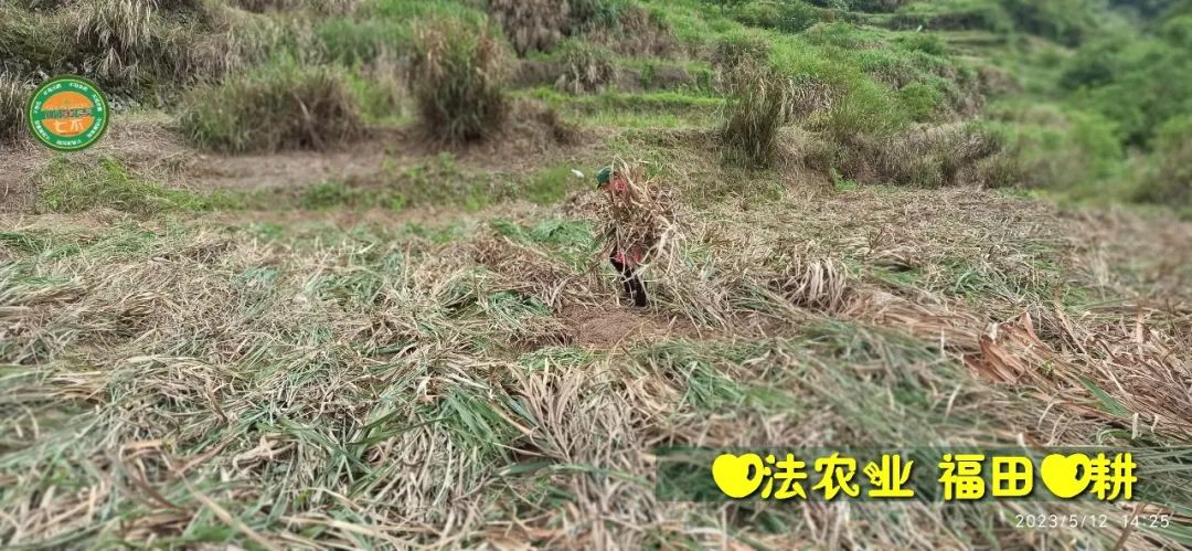 2023年4月-5月 七不姜春播图!家庭厨房生姜如何去皮切片 七不姜5月促销优惠劵 2023年4月-5月 七不姜春播图!家庭厨房生姜如何去皮切片 七不姜5月促销优惠劵