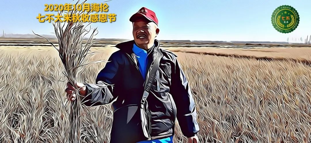 2020年七不小黄姜秋收感恩节邀请函 11月8日-15日 心法农业 福田心耕 欢喜农耕 心悦自然（浙江仙居仁庄村）