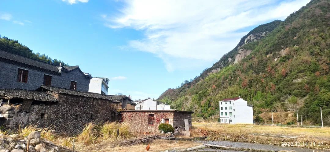 明德CSA生态姜园 - 一个革新的农业未来!尊敬的未来合伙人,诚挚邀请您成为七不姜姜园的股东合伙人.... 明德CSA生态姜园 - 一个革新的农业未来!尊敬的未来合伙人,诚挚邀请您成为七不姜姜园的股东合伙人....