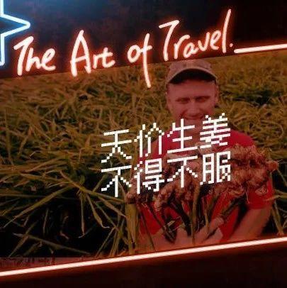 中国一抓一大把的生姜，国外都抢疯了 2020-七不姜 生姜养生网-明德CSA生态姜园&明安农业