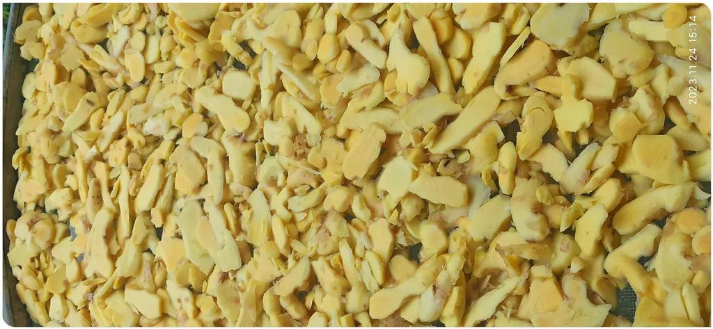 2023年12月 优惠“卷”送给您收下。 庆祝七不姜秋收圆满! 浙江仙居 七不小黄姜 干姜片 姜粉新上市!꒰^ↀωↀ^꒱ 2023年12月 优惠“卷”送给您收下。 庆祝七不姜秋收圆满! 浙江仙居 七不小黄姜 干姜片 姜粉新上市!꒰^ↀωↀ^꒱