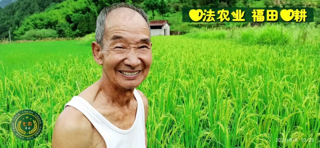 七不红米水稻9月11日上市现货销售-新米限时特惠 家庭大米专场:红米/糯米/ 黑米/泰两优217/中浙优H7 品种多质量优 七不红米水稻9月11日上市现货销售-新米限时特惠 家庭大米专场:红米/糯米/ 黑米/泰两优217/中浙优H7 品种多质量优