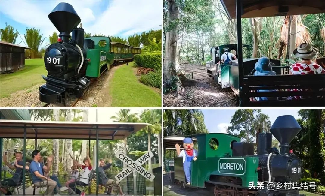 这个“生姜”农业主题乐园，为何游客不止？有三点借鉴与思考