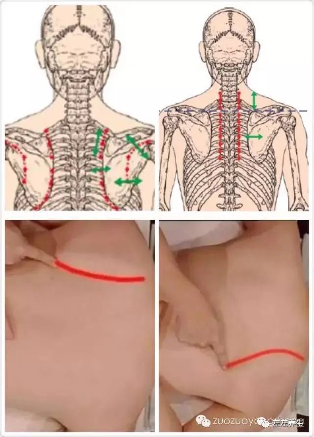 原始点宝宝们,我们感染新冠成小阳人怎么办? 原始点宝宝们,我们感染新冠成小阳人怎么办?