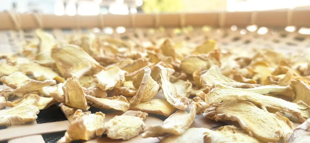 2024年新春福袋 七不姜全家福 礼装 龙重登场´◡` ꒰^ↀωↀ^꒱ 2024年新春福袋 七不姜全家福 礼装 龙重登场´◡` ꒰^ↀωↀ^꒱