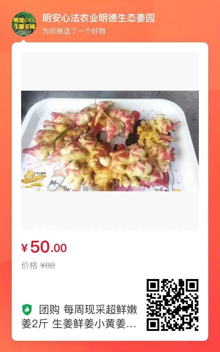 生姜赞歌-浙江仙居 七不小黄姜 鲜嫩姜 新鲜 超新上市 每周超鲜嫩姜2斤/5斤 生姜鲜姜2023年9月现采现发 生态自然