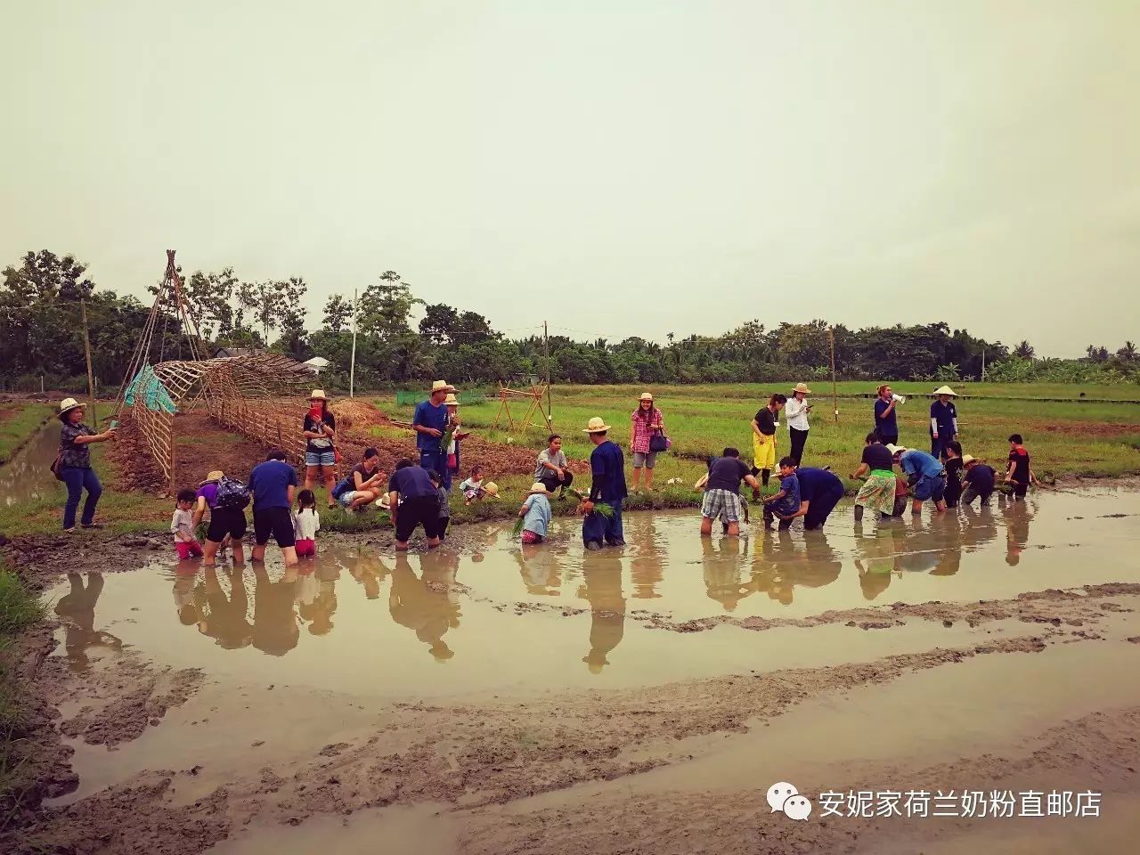 【清迈】GINGER FARM里的泰国农家乐,可以举办生日趴体,10月份假期日托班信息在贴底 【清迈】GINGER FARM里的泰国农家乐,可以举办生日趴体,10月份假期日托班信息在贴底