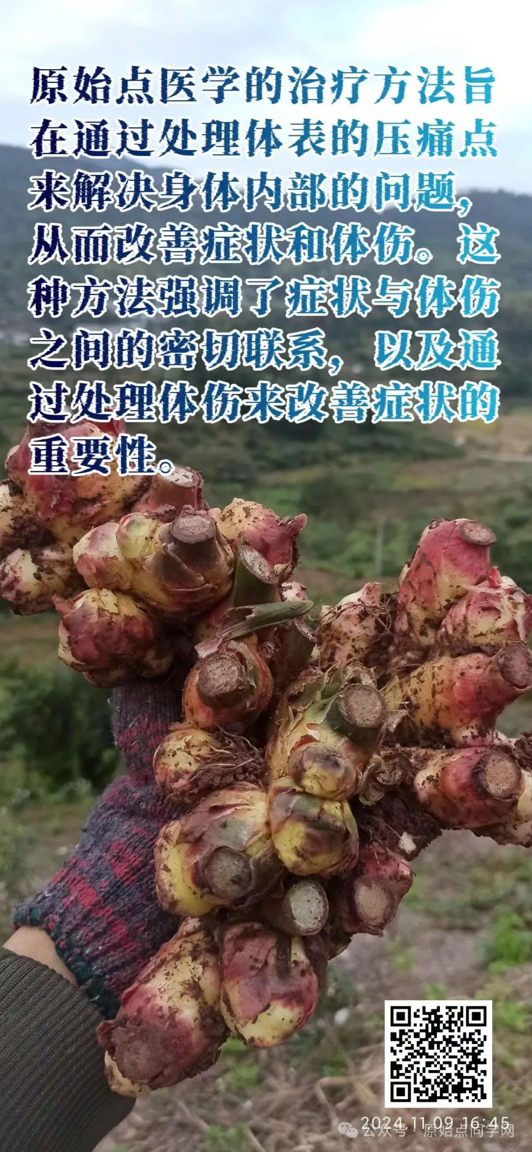 (广告)双11 除了七不姜,今天什么姜都别买！