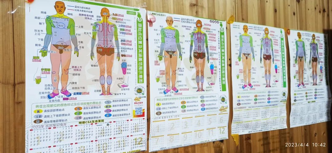 姜园乡土夏日忙 只为金秋好丰收!(●'◡'●)5月春耕春播 2023年七不姜预售预定 姜园乡土夏日忙 只为金秋好丰收!(●'◡'●)5月春耕春播 2023年七不姜预售预定