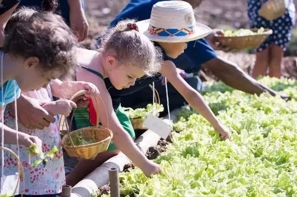 泰国这家亲子农场凭什么成为学习典范? 吸引全世界的目光 泰国这家亲子农场凭什么成为学习典范? 吸引全世界的目光