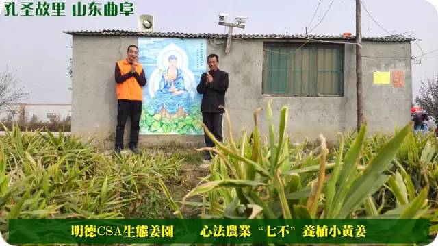 【2015年七不”生态养植小黄姜秋收感恩节】之一 山东曲阜庆典篇 2015.10.24 【2015年七不”生态养植小黄姜秋收感恩节】之一 山东曲阜庆典篇 2015.10.24