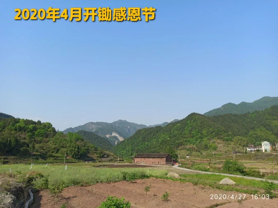 秋收告动物虫鸟书：尊敬的诸位动物虫鸟先生小姐们，七不小黄姜宝贝们