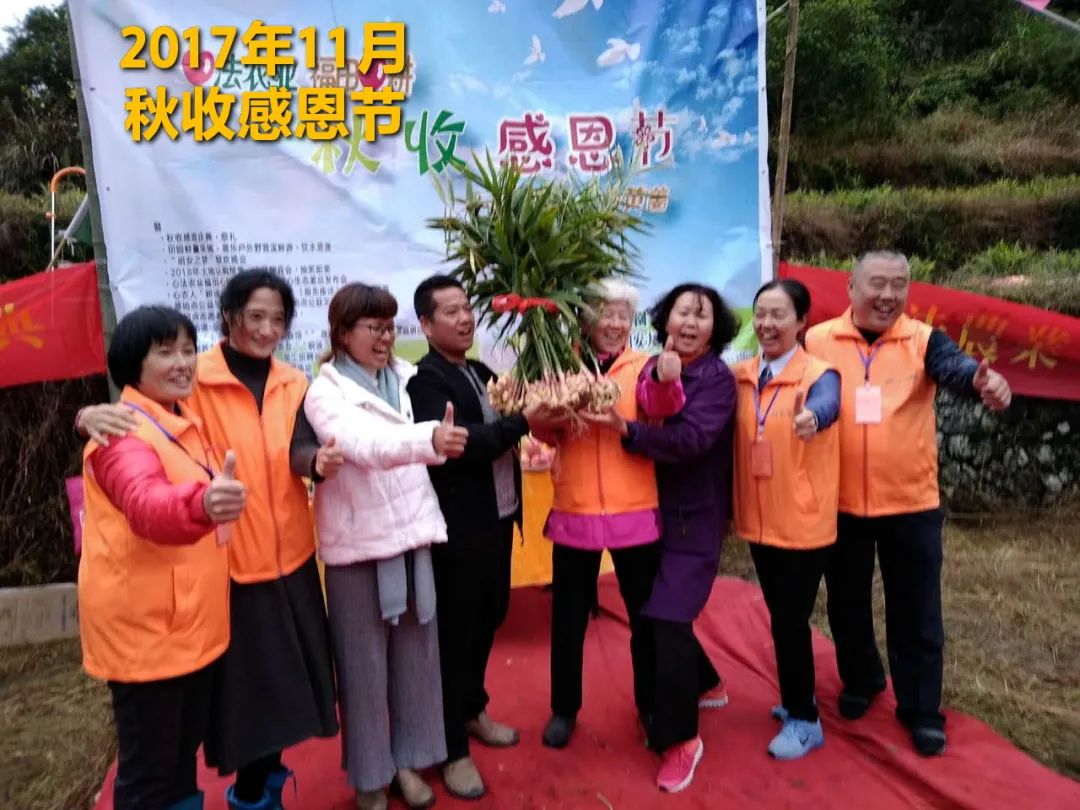 秋收节感恩什么？（浙江仙居七不姜 欢喜农耕 心悦自然 ）