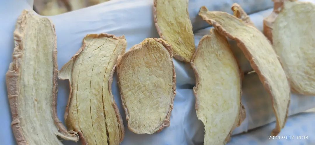 2024年新春福袋 七不姜全家福 礼装 龙重登场´◡` ꒰^ↀωↀ^꒱ 2024年新春福袋 七不姜全家福 礼装 龙重登场´◡` ꒰^ↀωↀ^꒱