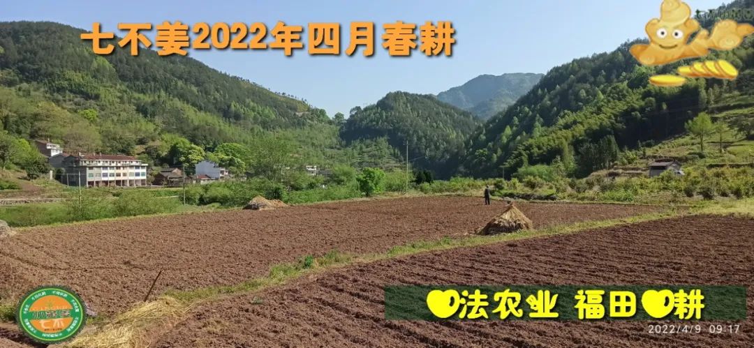 七不姜2022年四月春耕图