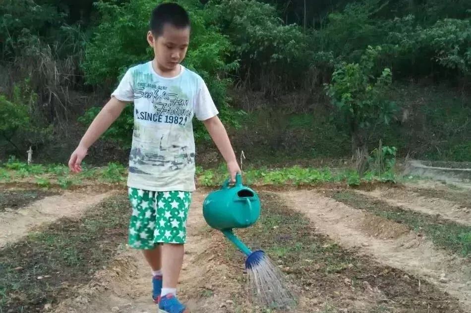 2023年厦门明道国学堂暑期少儿“耕读结合”特色国学夏令营 招生简章 2023年厦门明道国学堂暑期少儿“耕读结合”特色国学夏令营 招生简章