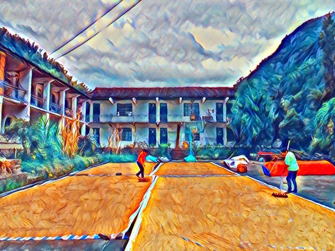 *╭︎( ˙º˙)╯︎*七不水稻秋收 明安农业田园油画展!我们是不是该知足 珍惜一切 就算没有拥有.... *╭︎( ˙º˙)╯︎*七不水稻秋收 明安农业田园油画展!我们是不是该知足 珍惜一切 就算没有拥有....