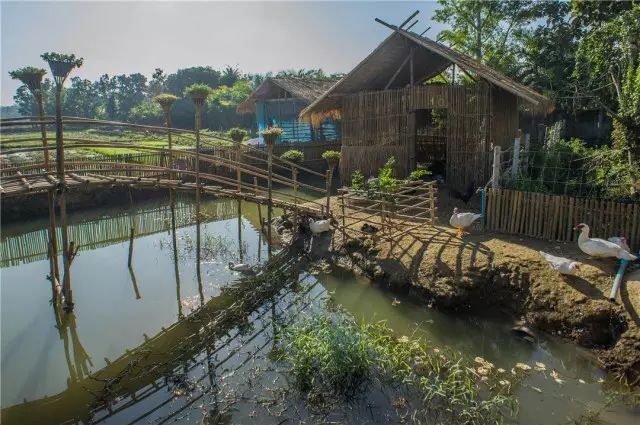 清迈 | 这家开业不久的亲子农庄,太让人动心。 清迈 | 这家开业不久的亲子农庄,太让人动心。