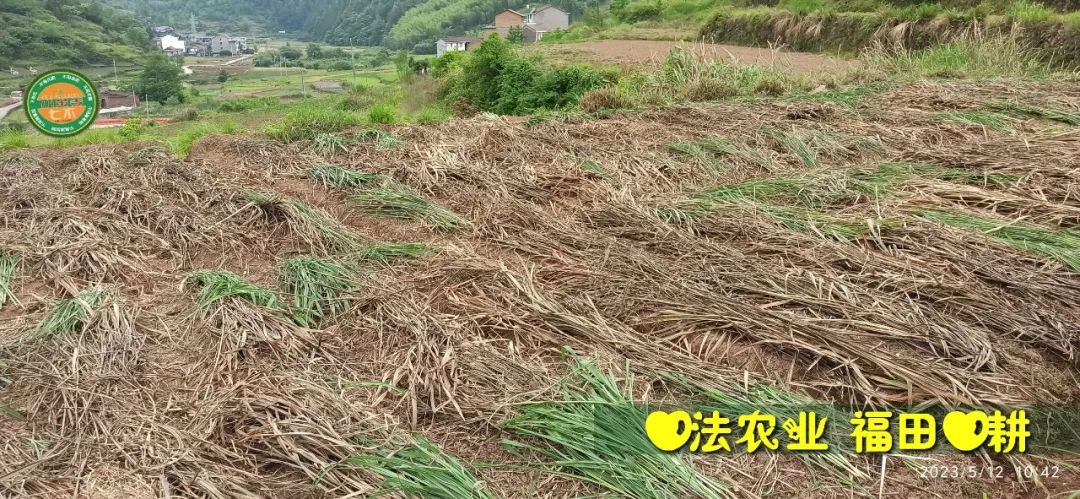 2023年4月-5月 七不姜春播图!家庭厨房生姜如何去皮切片 七不姜5月促销优惠劵 2023年4月-5月 七不姜春播图!家庭厨房生姜如何去皮切片 七不姜5月促销优惠劵