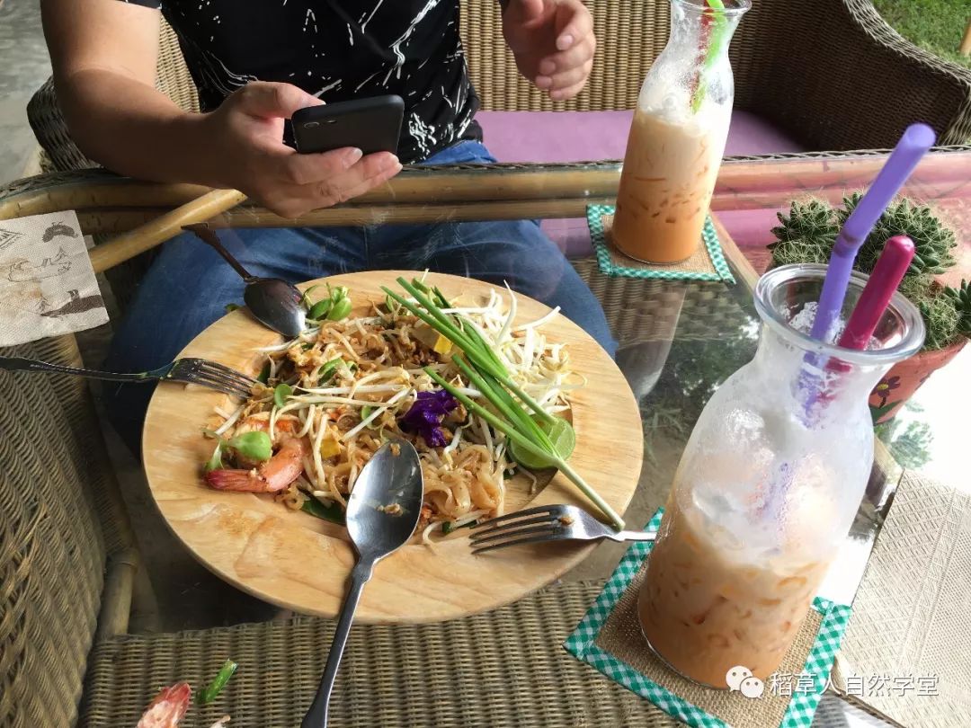 探访清迈Ginger Farm(2018.7.7) 探访清迈Ginger Farm(2018.7.7)