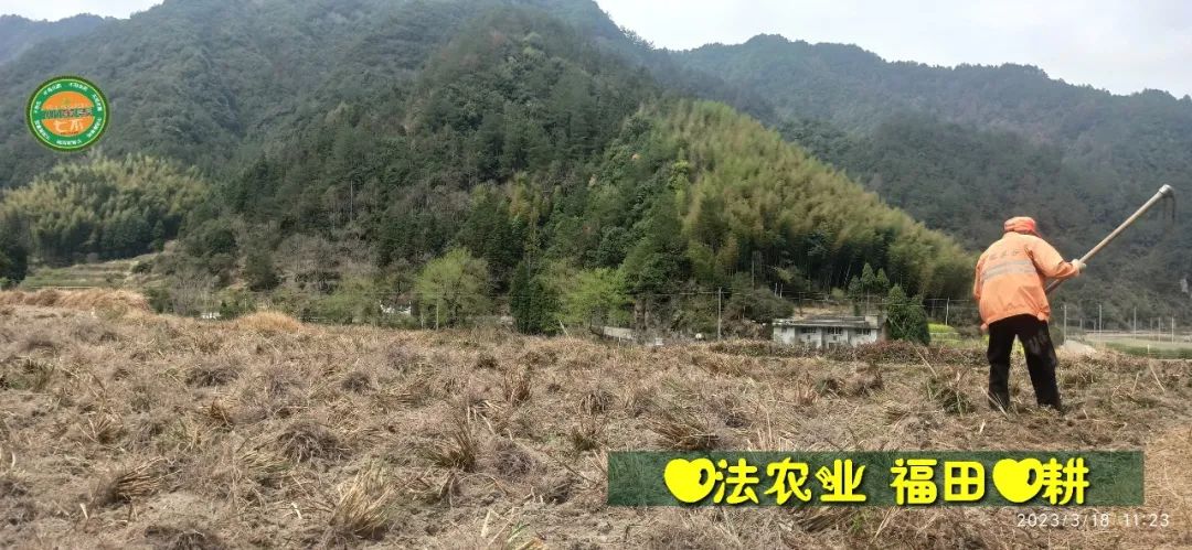 2023年4月-5月 七不姜春播图!家庭厨房生姜如何去皮切片 七不姜5月促销优惠劵 2023年4月-5月 七不姜春播图!家庭厨房生姜如何去皮切片 七不姜5月促销优惠劵