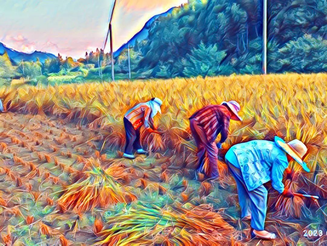 世界粮食日10月16日 特惠打包价 包邮 5斤鲜姜 +5斤 新鲜大米 自然生态安全健康 粮食 世界粮食日10月16日 特惠打包价 包邮 5斤鲜姜 +5斤 新鲜大米 自然生态安全健康 粮食