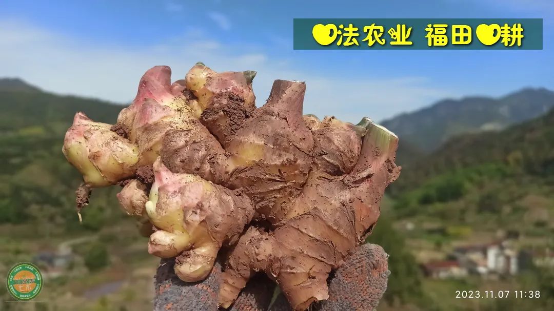2024年4月春暖花开！春耕优惠“卷”
