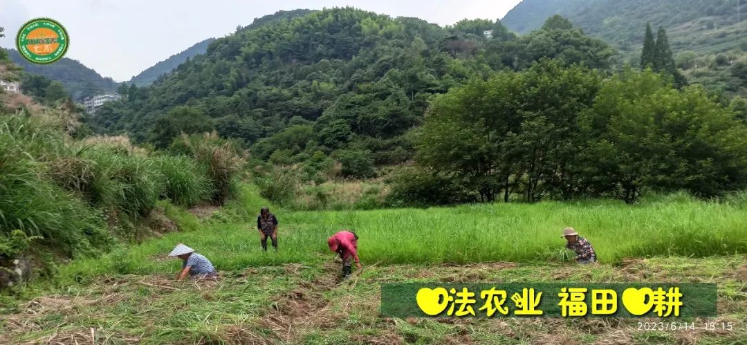 (●'◡'●)6月庆祝春播春种顺利完成! 姜膏姜油 端午糯米 会员积分换购特惠 ,2023预售大米 会员折上折 6.18折 (●'◡'●)6月庆祝春播春种顺利完成! 姜膏姜油 端午糯米 会员积分换购特惠 ,2023预售大米 会员折上折 6.18折