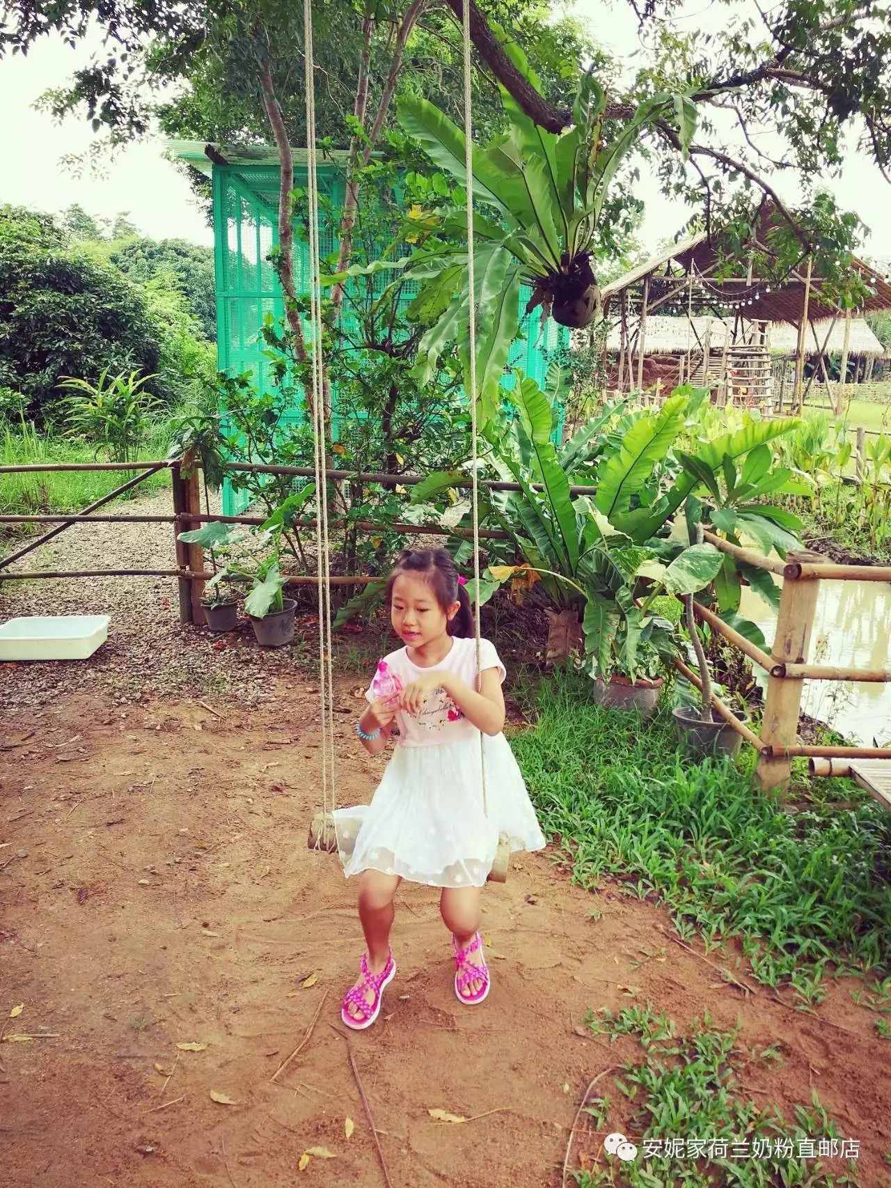 【清迈】GINGER FARM里的泰国农家乐,可以举办生日趴体,10月份假期日托班信息在贴底 【清迈】GINGER FARM里的泰国农家乐,可以举办生日趴体,10月份假期日托班信息在贴底