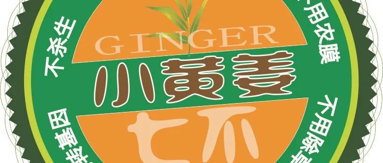 2022年小黄姜春耕开播 姜片姜粉姜丸防疫 安家必备大特惠-七不姜 生姜养生网-明德CSA生态姜园&明安农业